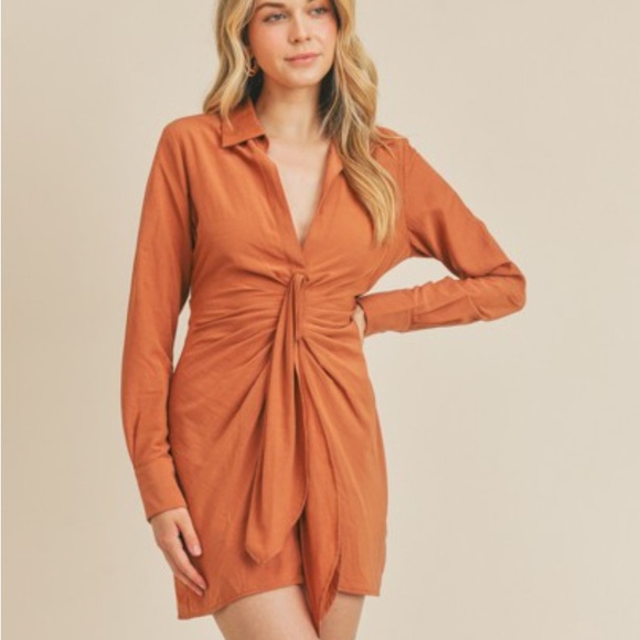 Dresses & Skirts - 🆕NWT Bronzed Dress